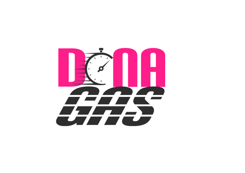 El Programa DONA-GAS en detall