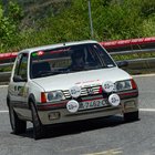 77186-dorsal-109-peugeot-regularitatpujada.jpg